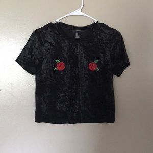 Black Velvet Crop